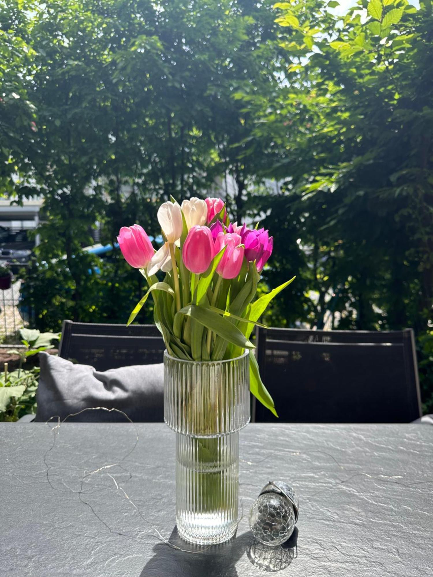 Luxus I Wohnkueche I Garten I Terrasse I Parkplatz Fürth Exteriör bild